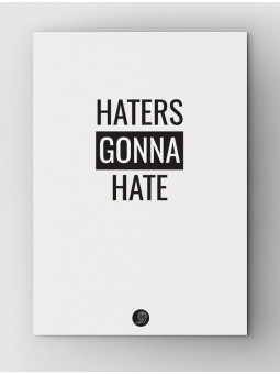 Haters gonna hate